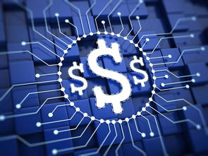 楊望 以數字貨幣破題普惠金融，數字技術服務實體經濟新路徑