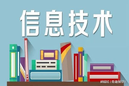 數(shù)字浪潮 信息技術(shù)開(kāi)發(fā)的演進(jìn)與未來(lái)